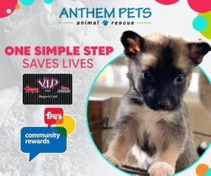 Frys-Promo-pup-300x251 image