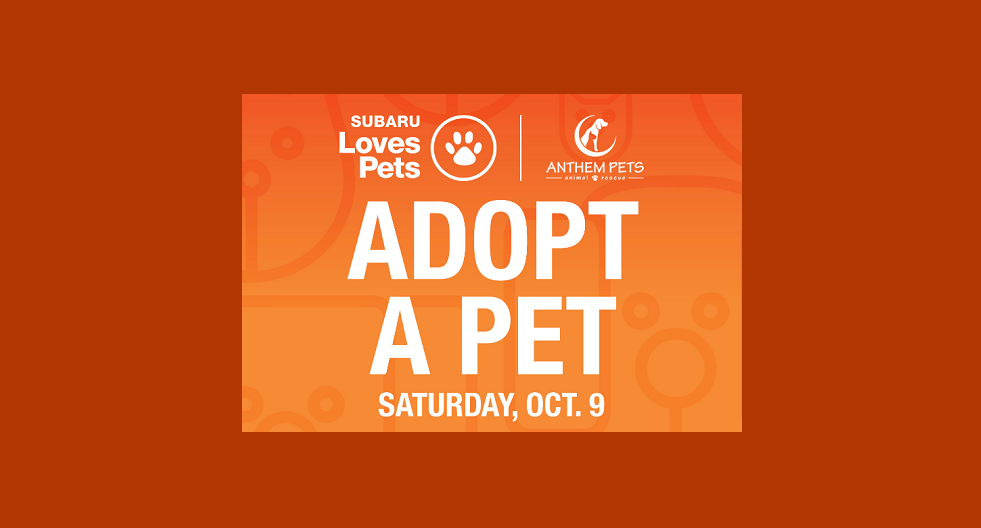 Subaru Pet Adoption Event Anthem Pets