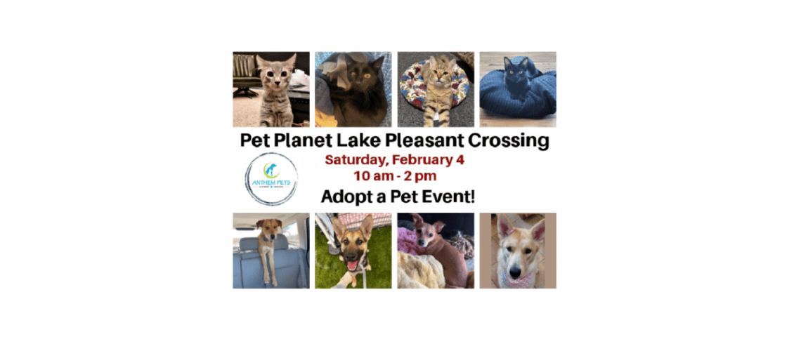 Feb 4 Pet Planet Collage 2