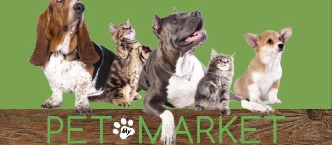 Pet Market Feb 2020