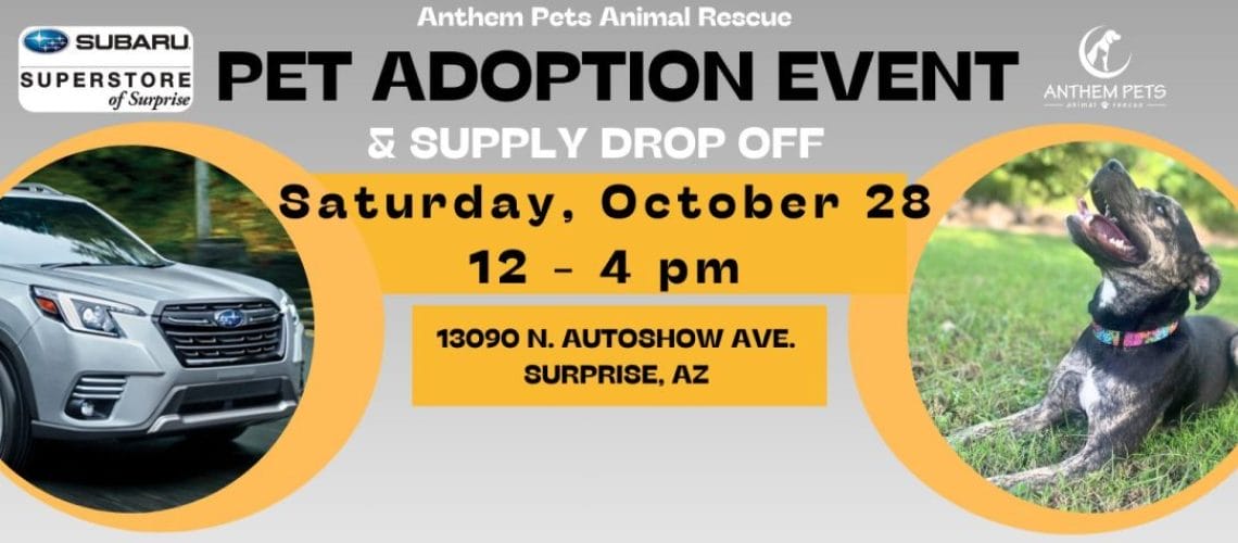 Join Us at the Subaru Pet Adoption Event! Anthem Pets