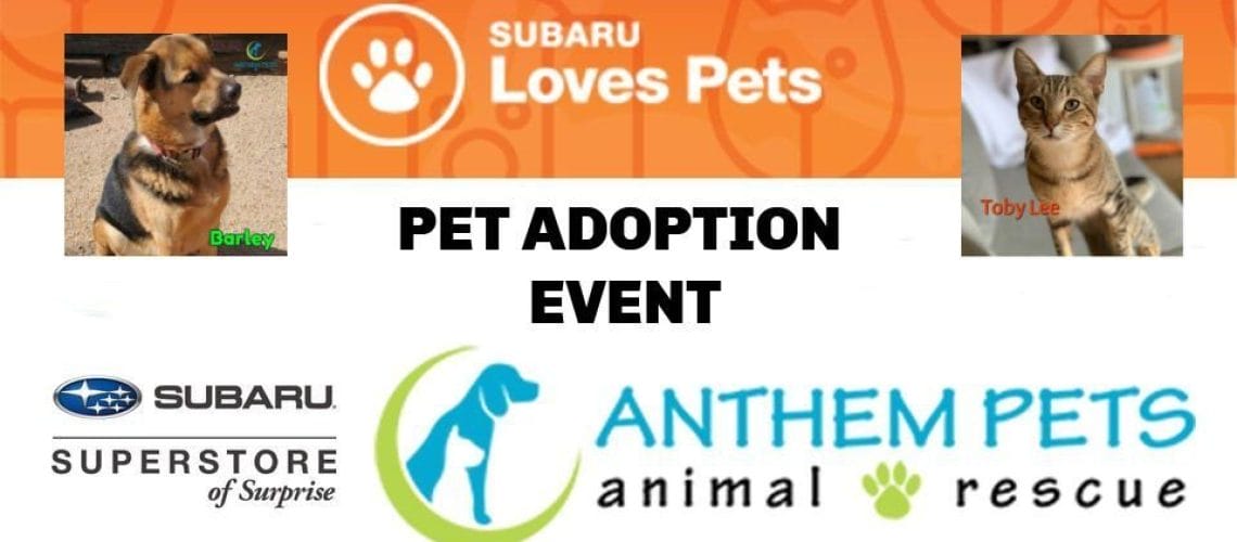 Super Subaru Pet Adoption Event! Anthem Pets