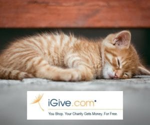 iGive-image-300x251 image
